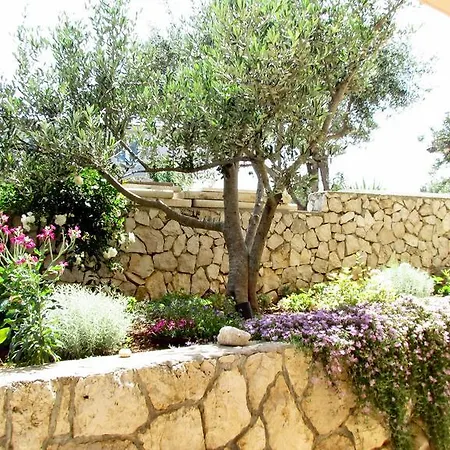 Apartamento Nevenka *