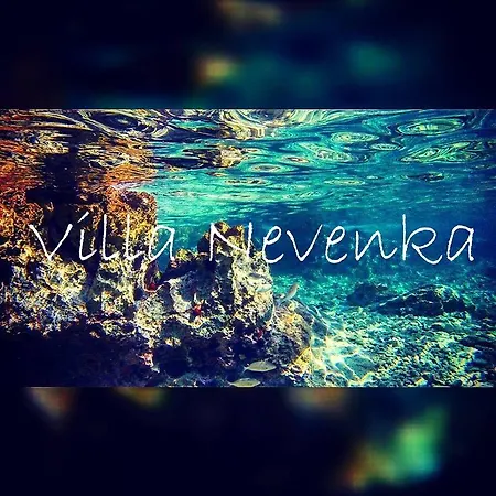 Apartman Nevenka *